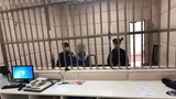 文章附图